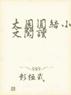 大团圆结小茹全文阅读