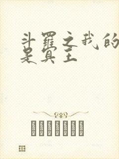 斗罗之我的武魂是冥王