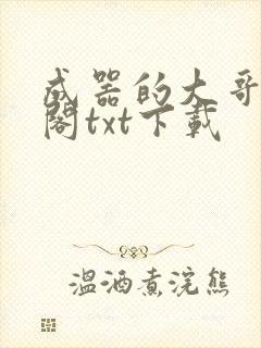 成器的大哥笔趣阁txt下载