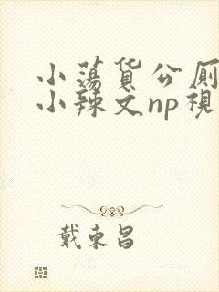 小荡货公厕h文小辣文np视频