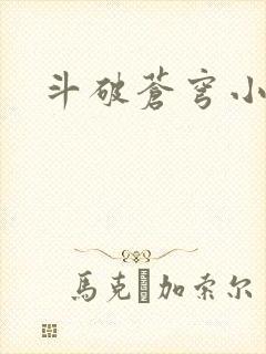 斗破苍穹小说封面