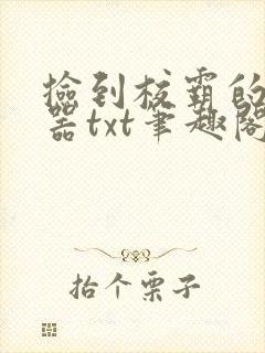 捡到校霸的遥控器txt笔趣阁封面