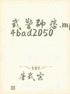 武警帅痞.mp4bad2050封面