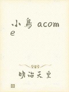 小鸟 acome封面