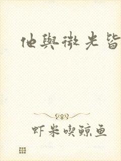 他与微光皆倾城