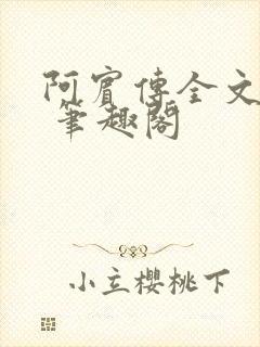 阿宾传全文阅读 笔趣阁