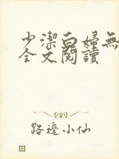 少洁白妇无删减全文阅读封面