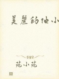 美丽的他小说