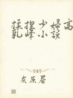 揉捏少妇高耸的乳峰小说封面