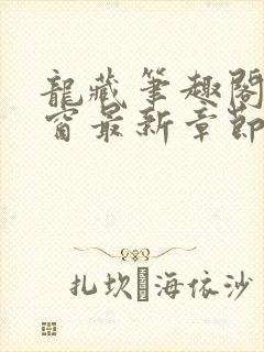 龙藏笔趣阁无弹窗最新章节