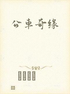 公车奇缘
