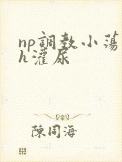 np调教小荡货h灌尿