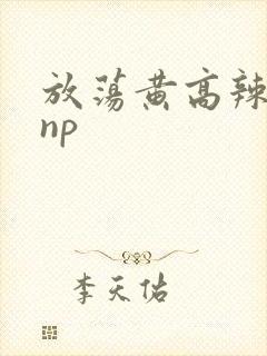 放荡黄高辣h文np