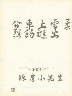 公车上雪柔被猛烈的进出