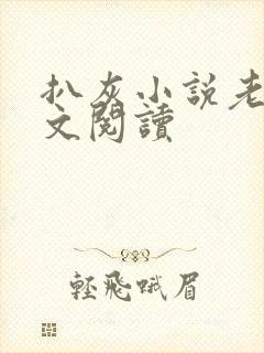 扒灰小说老马全文阅读