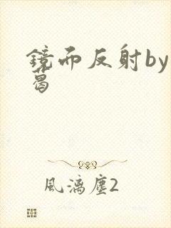 镜面反射by九葛