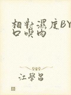 相对湿度BY大口吃肉