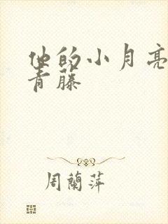 他的小月亮by青藤