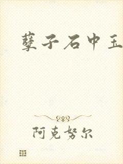 孽子石中玉