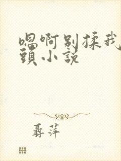 嗯啊别揉我的奶头小说