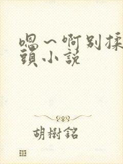 嗯～啊别揉我奶头小说