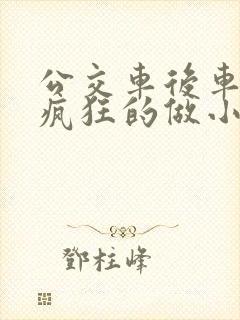 公交车后车座的疯狂的做小