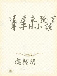 凌虐未发育的小身子H小说