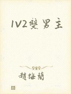 1V2双男主