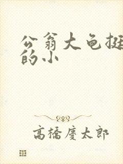 公翁大龟挺进我的小封面