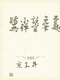 赌小说免费阅读无弹窗笔趣阁