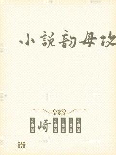 小说韵母攻略封面