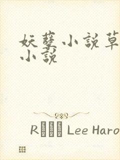 妖孽小说草莓酱小说封面