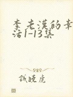 李老汉的幸福生活1-13集封面