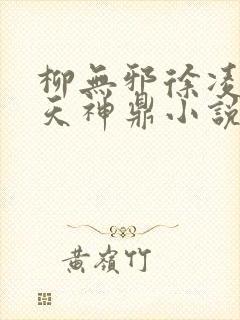 柳无邪徐凌雪吞天神鼎小说在线阅读