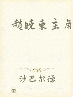 赵晓东主角小说