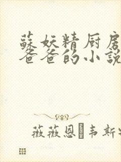 苏妖精厨房爹爹爸爸的小说