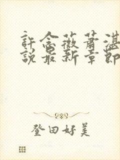 许念薇萧湛明小说最新章节免费阅读