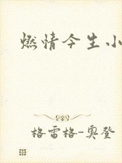 燃情今生小说
