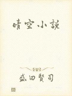 晴空小说封面