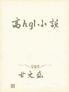 高hgl小说封面