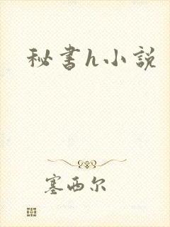 秘书h小说