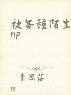 被各种陌生人 np