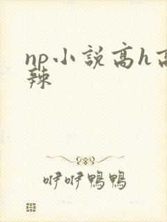 np小说高h高辣