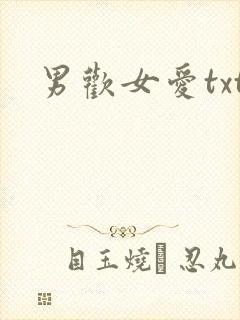 男欢女爱txt封面