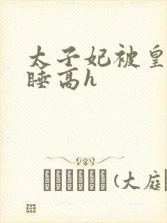 太子妃被皇上强睡高h封面