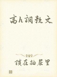 高h调教文