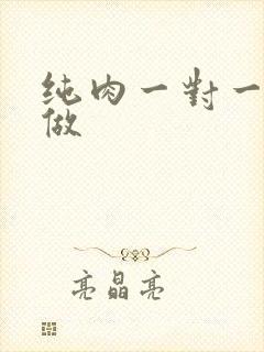 纯肉一对一到处做