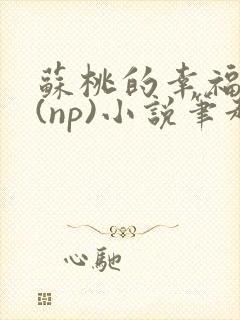 苏桃的幸福生活(np)小说笔趣阁沐沐