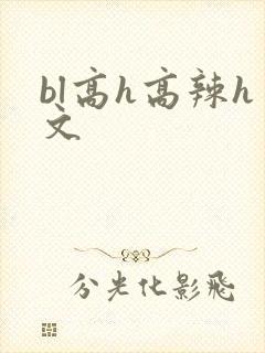 bl高h高辣h文封面