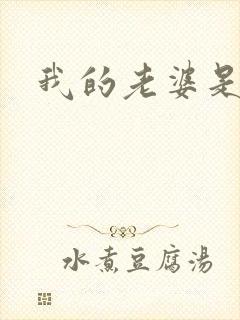 我的老婆是军阀